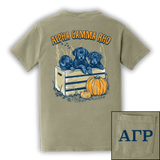 Alpha Gamma Rho - Pups on a Box