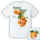 Kappa Sigma - Orange Grove