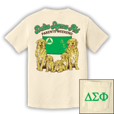 ΔΣΦ Parents Weekend